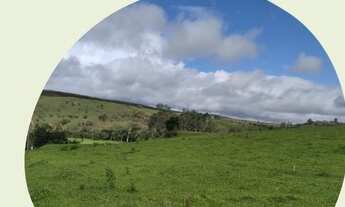 Imagem: Terrenos com a oferta imperdível próximo