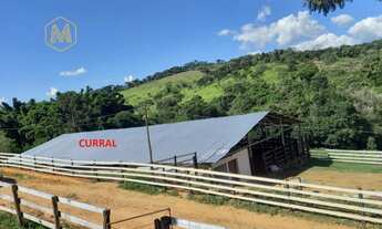 Imagem 2: FAZENDA 194HC - 130 Km de BH - PREPARADA GADO DE CORTE - CARMÓPOLIS/MG