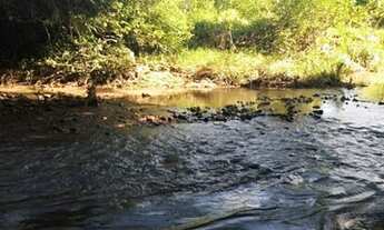 Imagem 7: Chácara dentro de Guapó