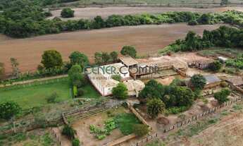 Imagem 2: IMPONENTE FAZENDA DE 282,50 HA COM LINDA SEDE CENTENÁRIA E ALTA PRODUÇÃO DE LEITE E EUCALI