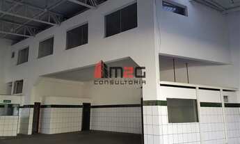 Imagem 3: Comércio, Vila Ribeiro de Barros - São Paulo