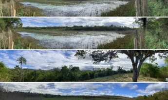 Imagem: Fazenda pântano Chapada Diamantina