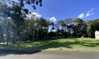 Imagem 4: CURITIBA - Loteamento/Condomínio - Campo Comprido