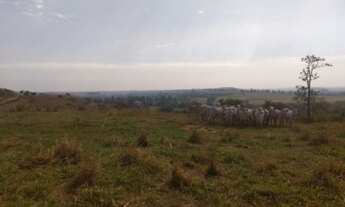 Imagem 3: Excelente Fazenda para Gado em Piracicaba