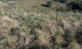 Imagem 5: Terreno/sítio Terreno / lote com venda por R$400.000