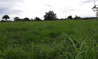 Imagem 7: 248 Alqs Pra Gado Boa Água Logística e Terra Entrada + Uma Centenário TO