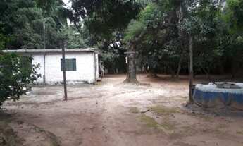 Imagem 3: Chácara/Terreno ótima localização