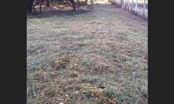 Imagem 2: Lagoa Santa - Loteamento/Condomínio - Condomínio Roseiral