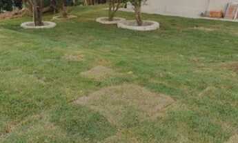 Imagem 7: Fazenda - Ipameri (GO