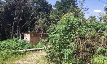 Imagem 5: Lote do riacho fundo 1 kanegae