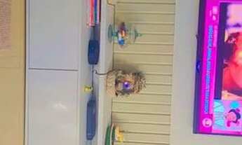 Imagem 6: CASA (SOBRADO) DE FRENTE A PRAIA