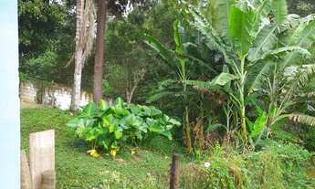 Imagem 7: Chácara no centro