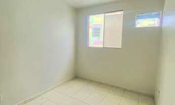 Imagem 6: Paradiso Anturio | Campos Salles