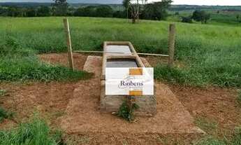 Imagem: Sitío em Auriflama quase 8 alqueires