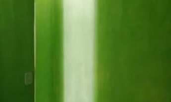 Imagem 11: Aluga-se Casa atrás do Caxias Shopping Valor R$ 600,00