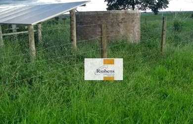 Imagem 5: Sitío em Auriflama quase 8 alqueires