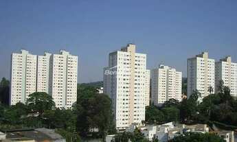 Imagem 3: Apartamento à venda, Vila Irmãos Arnoni, São Paulo, SP