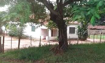 Imagem: Sitio completissimo em Fernandopolis com