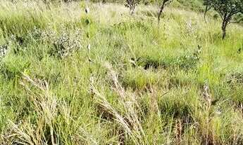 Imagem 4: Fazenda em Planaltina de Goiás