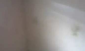 Imagem 5: Casa pra alugar Casa com 1 dormitório