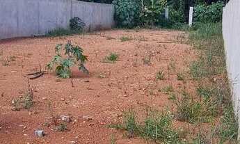 Imagem: Lote top em Vicente pires