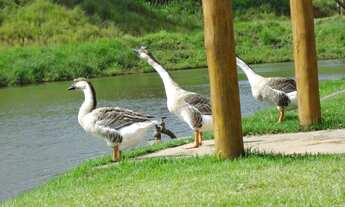 Imagem 4: Chácara de lazer em condominio fechado, Residencial Terra Santa Canaã - Trindade-GO