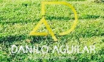 Imagem 6: SÍTIO A VENDA EM PATROCÍNIO-MG