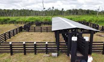 Imagem 5: Fazenda na região sul de Roraima (11.000 hectares) para Venda