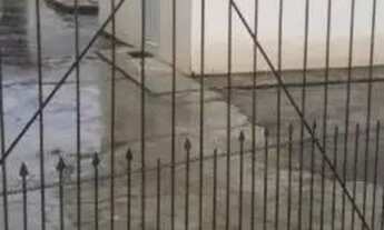 Imagem 7: Casa de 3 quartos no Guaraituba