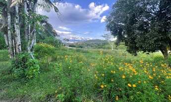 Imagem 3: Granja em Matias Barbosa