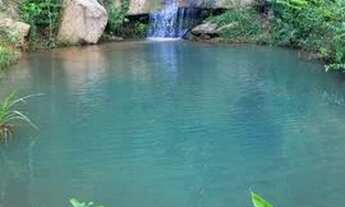 Imagem: Chácara 3 alqueires