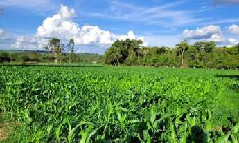 Imagem 2: Chácara Hidrolândia 3.000 M², Ótimo Local Para Morar, Plantar Produzir, com água encanada!