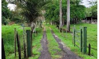 Imagem: Sítio com acesso pela BR101 em Atílio