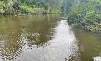 Imagem 7: Fazenda na região sul de Roraima (11.000 hectares) para Venda