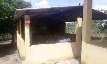 Imagem 6: Vendo Ótima Chácara