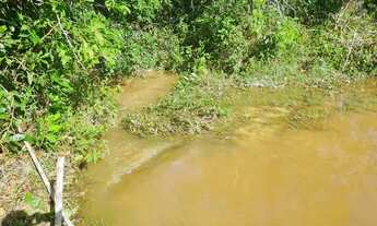 Imagem 7: Lotes em Abrantes - Oportunidade!