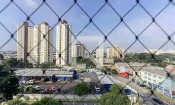 Imagem 7: Apartamento à Venda - Parque Novo Mundo , 2 Quartos, 55 m2