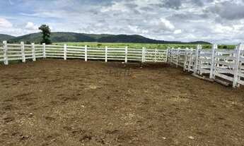 Imagem: Fazenda em Manga - Minas Gerais, à venda