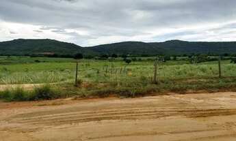 Imagem 7: Fazenda em Manga - Minas Gerais, à venda com 2.320ha - Para pecuária