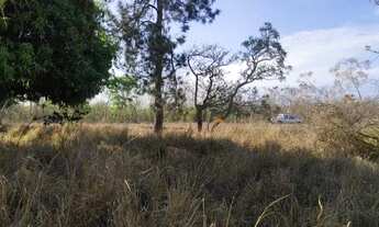 Imagem 5: Fazenda em Buritizeiro - Minas Gerais, à venda com 5600ha