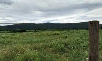 Imagem 6: Fazenda em Manga - Minas Gerais, à venda com 2.320ha - Para pecuária