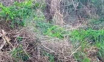 Imagem 6: Terreno à venda em Piratininga - RJ