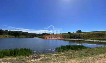 Imagem: Fazenda em Pires do Rio - GO. 115 Alqueires