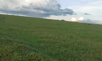 Imagem 4: Fazenda de arrendamento 2.000 hec em Caiapônia Go. Grade combinar