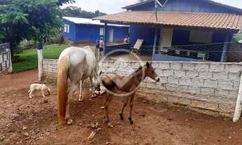 Imagem 6: REF: Office2401 Fazenda Cubatão com 8,5 Alqueires, Faina-GO codigo: 58774