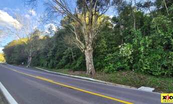 Imagem 4: Sítio / Chácara para Venda em Nova Petrópolis, Bavária