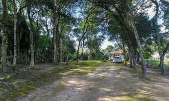 Imagem 3: Vendas Chácara Mandirituba PR