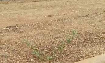 Imagem 2: Vinhas Flamboyant - Terreno/Lote à Venda no Condomínio Vinhas Flamboyant em Senador Canedo