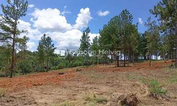 Imagem 7: Oportunidade no PARQUE ELDORADO, Eldorado do Sul/RS