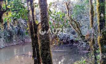 Imagem 2: Maravilhosa Chácara à venda, Colônia Murici, São José dos Pinhais, PR